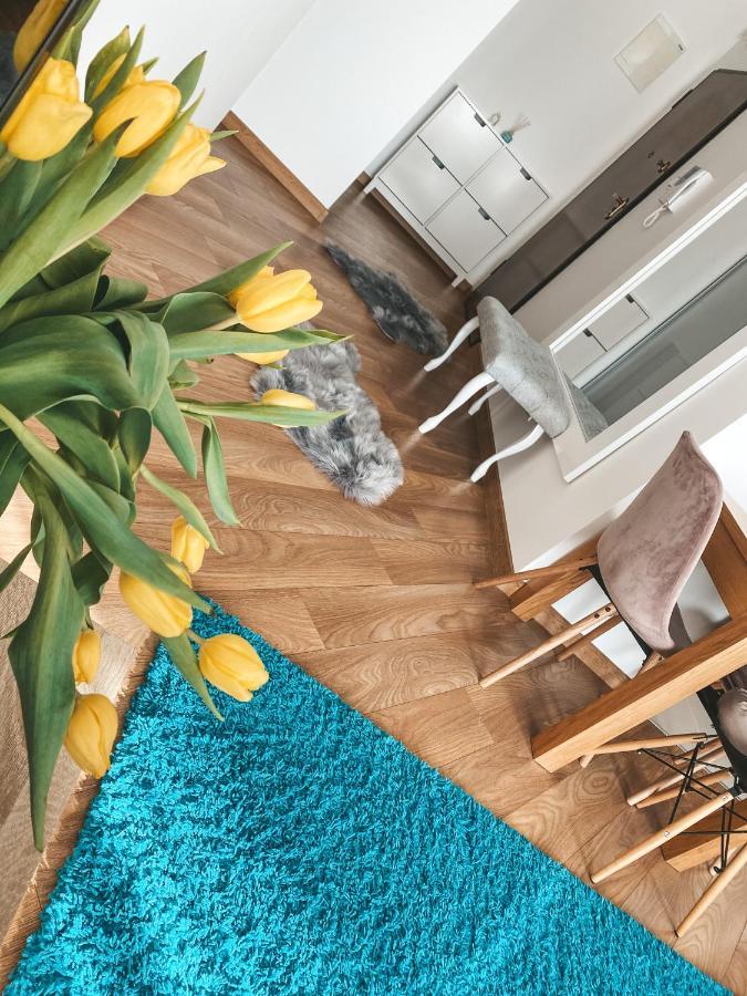 Apartament Solna 80 - Centrum Miasta Z Podziemnym Garazem Kielce Eksteriør bilde